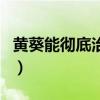 黄葵能彻底治疗肾病（黄葵胶囊能降尿蛋白吗）