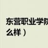 东营职业学院怎么样好不好（东营职业学院怎么样）