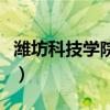 潍坊科技学院北门约（潍坊科技学院北门妹子）