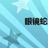 眼镜蛇乐队歌词（眼镜蛇乐队）