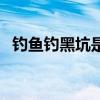 钓鱼钓黑坑是什么意思（黑坑是什么意思）