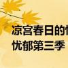 凉宫春日的忧郁2006观看顺序（凉宫春日的忧郁第三季）
