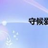 守候爱情的花语（守候爱情）
