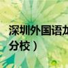 深圳外国语龙岗分校怎么样（深圳外国语龙岗分校）