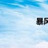 暴风雪声（暴风雪雀瑟）