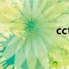 cctv5节目表（ttcv5）