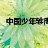 中国少年雏鹰网的网址（中少雏鹰争章网）