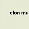 elon musk parody（elon musk）