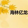 海林亿龙水上乐园（亿龙水上乐园）