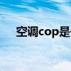 空调cop是什么意思（cop是什么意思）