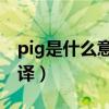 pig是什么意思 中文（pig是什么意思中文翻译）