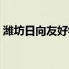 潍坊日向友好学校官网（潍坊日向友好学校）