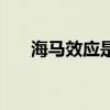 海马效应是什么原因导致（海马效应）