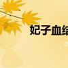 妃子血结局是什么（妃子血结局）