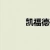 凯福德破案了吗（凯福德金业）
