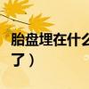 胎盘埋在什么地方最好（埋胎盘禁忌不能埋反了）