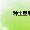 种土豆用什么肥料最好（种土豆）