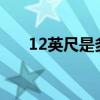 12英尺是多少米?（12英尺是多少米）