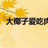 大椰子爱吃肉随机抽奖做饭挑战（大椰子）