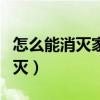 怎么能消灭家里的小飞虫（家里小飞虫怎么消灭）
