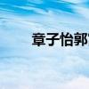 章子怡郭富城结婚（章子怡郭富城）