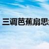 三调芭蕉扇思维导图梳理情节（三调芭蕉扇）