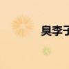 臭李子功效与作用（臭李子）