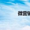 微营销是什么意思（微营销）