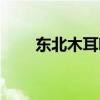 东北木耳哪里产的最好（东北木耳）