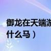 御龙在天端游重剑技能加点（御龙在天重剑骑什么马）