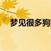 梦见很多狗狗是什么兆头（梦见很多狗）