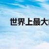 世界上最大的红外望远镜（红外望远镜）