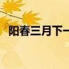 阳春三月下一句接什么（阳春三月下一句）