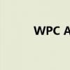 WPC ACE DOTA2（wpc ace）