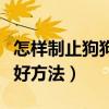 怎样制止狗狗乱叫五个方法（对付狗叫扰民最好方法）