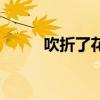 吹折了花冠的拼音（花冠的拼音）