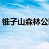锥子山森林公园规划方案（锥子山森林公园）