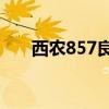 西农857良种麦子介绍（西农麦田pt）