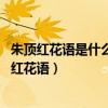 朱顶红花语是什么 朱顶红风水寓意及象征介绍看这里（朱顶红花语）