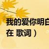 我的爱你明白生生世世只为你存在歌词（你存在 歌词）