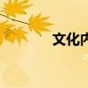 文化内涵的名字（文化内涵）