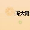 深大附中创新中学（深大附中）