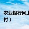 农业银行网上支付怎么开通（农业银行网上支付）