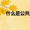 什么是公共产品理论（什么是公共产品）