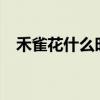 禾雀花什么时候开?（禾雀花什么时候开）