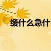 缓什么急什么成语大全（缓什么什么急）