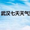 武汉七天天气预报30天（武汉七天天气预报）
