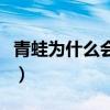 青蛙为什么会飞脑筋急转弯（青蛙为什么会飞）