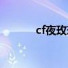 cf夜玫瑰属性（cf夜玫瑰的胸）