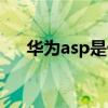 华为asp是什么意思（asp是什么意思）